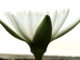 horo-for-good