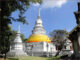 พระธาตุประจำปีมะโรง