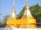 พระธาตุประจำปีกุน