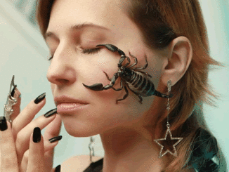 scorpion