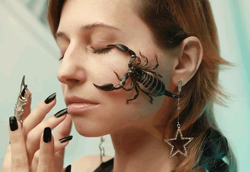 scorpion